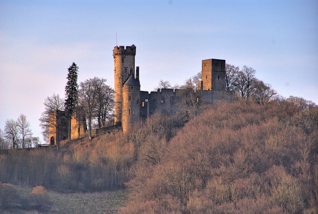 wolf park, kasselburg, pelm-108587.jpg